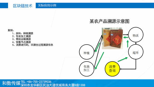 傳統(tǒng)產(chǎn)業(yè)融入?yún)^(qū)塊鏈 和數(shù)軟件如何以技術(shù)賦能，穩(wěn)健前行